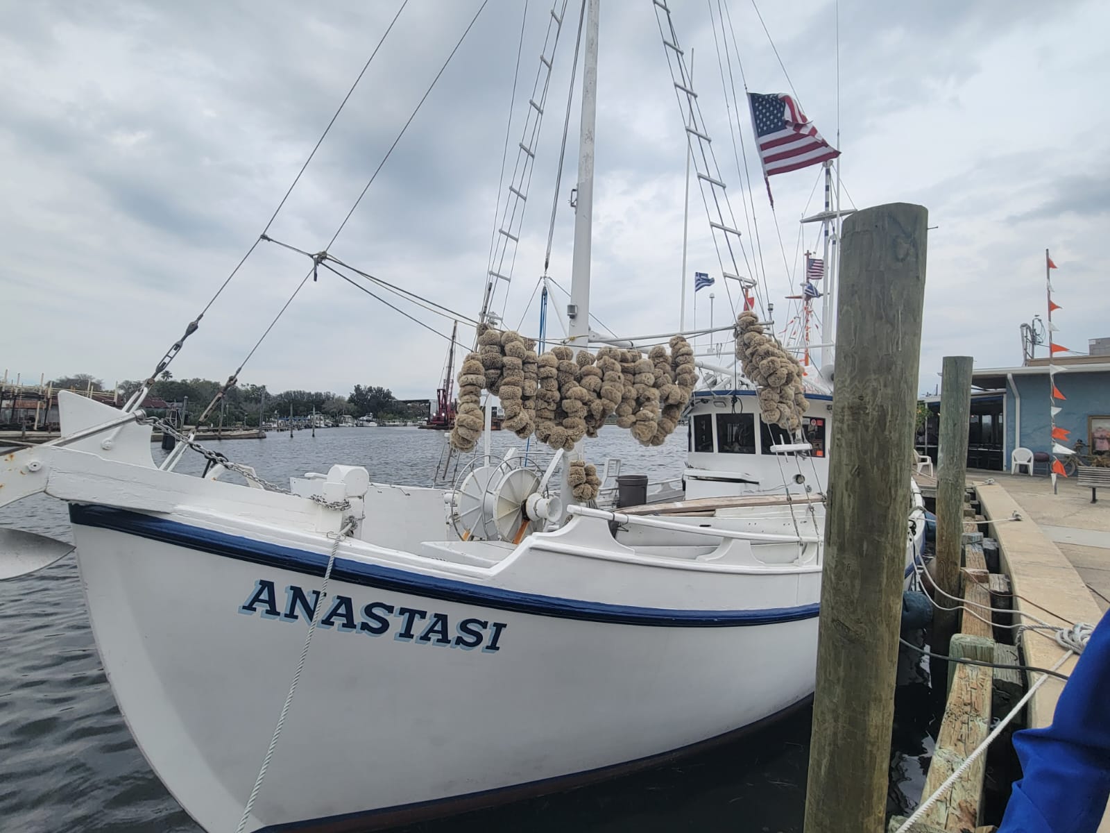 Tarpon Springs Sponges